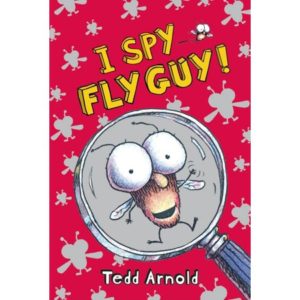 fly guy